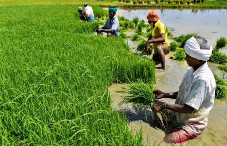 Monsoon’s Strong Performance Uplifts Kharif Prospects