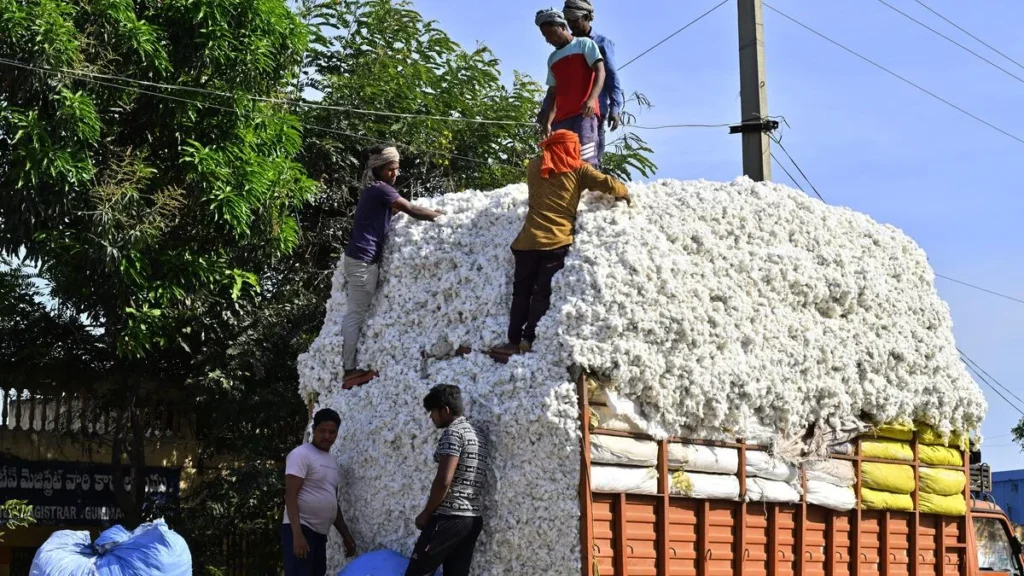Government extends duty-free imports of cotton by three months