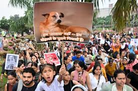 SC Modifies Directive on Stray Dogs