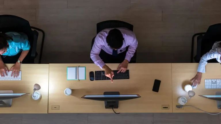 The Myth of Meritocracy and Caste-Based Disparities in the Indian IT Sector